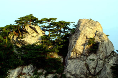 ����կ����