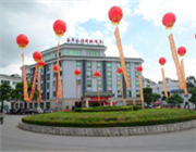 �������I�̄վƵ�  �������B�T ��