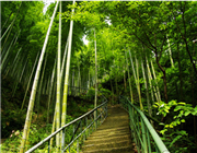 �R����ˮ���L���^(q��)