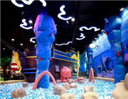 �������_�ĉ�(m��ng)���S