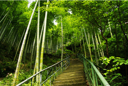 �R����ˮ���L���^(q��)